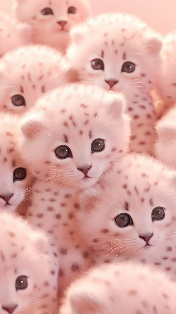 Baby cheetah wildlife animal mammal. AI generated Image by rawpixel.