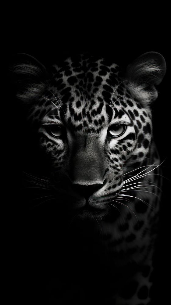 Leopard print wildlife animal mammal. AI generated Image by rawpixel.