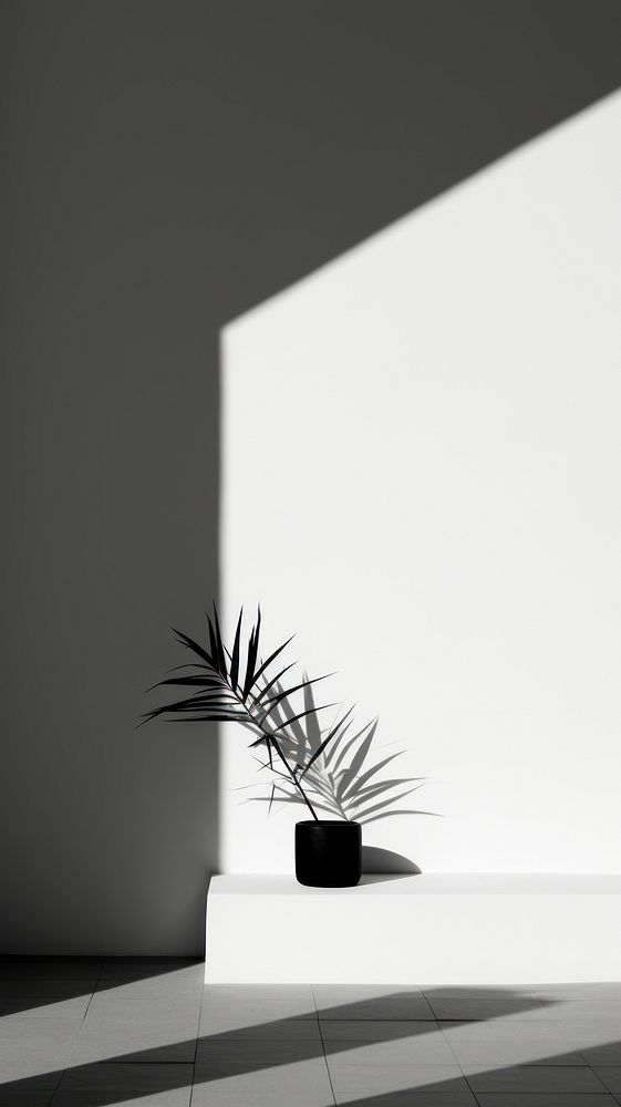 Shadow wall architecture nature. AI generated Image by rawpixel.
