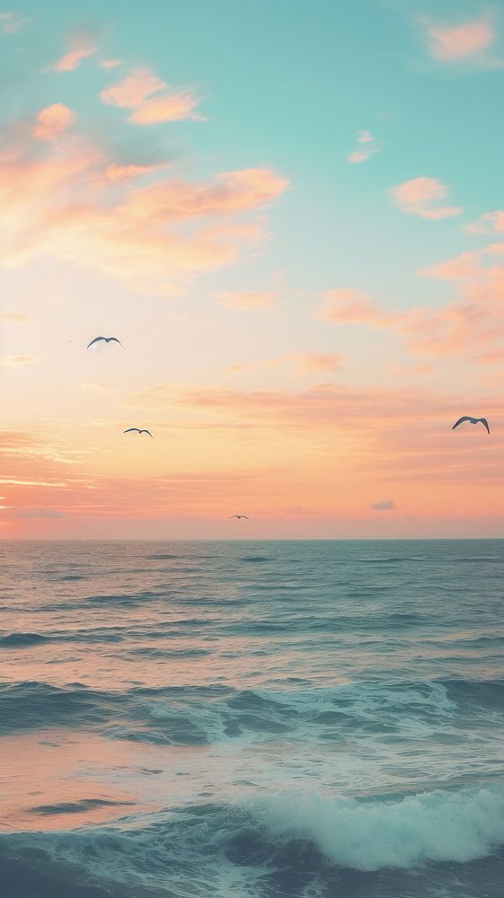 Seagulls ocean outdoors horizon. AI generated Image by rawpixel.