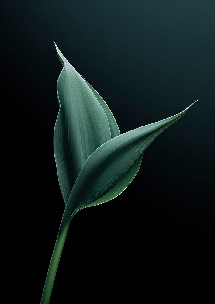 Plant green petal leaf. AI generated Image by rawpixel.