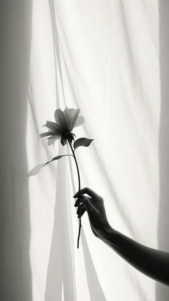 Flower hand holding shadow. AI generated Image by rawpixel.