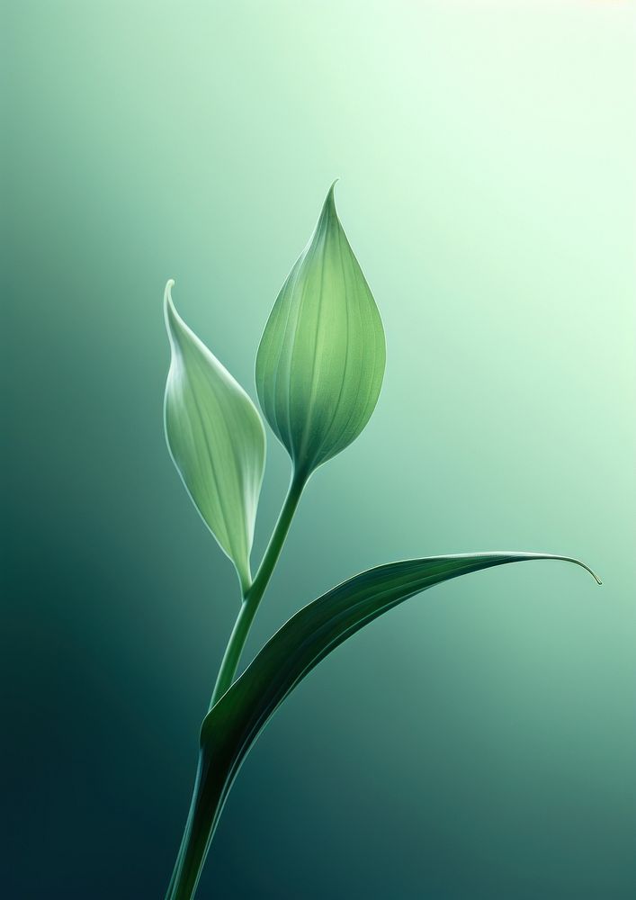 Green flower plant leaf. AI generated Image by rawpixel.