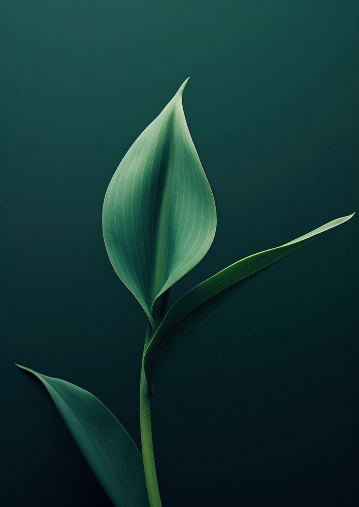 Green plant petal leaf. AI generated Image by rawpixel.