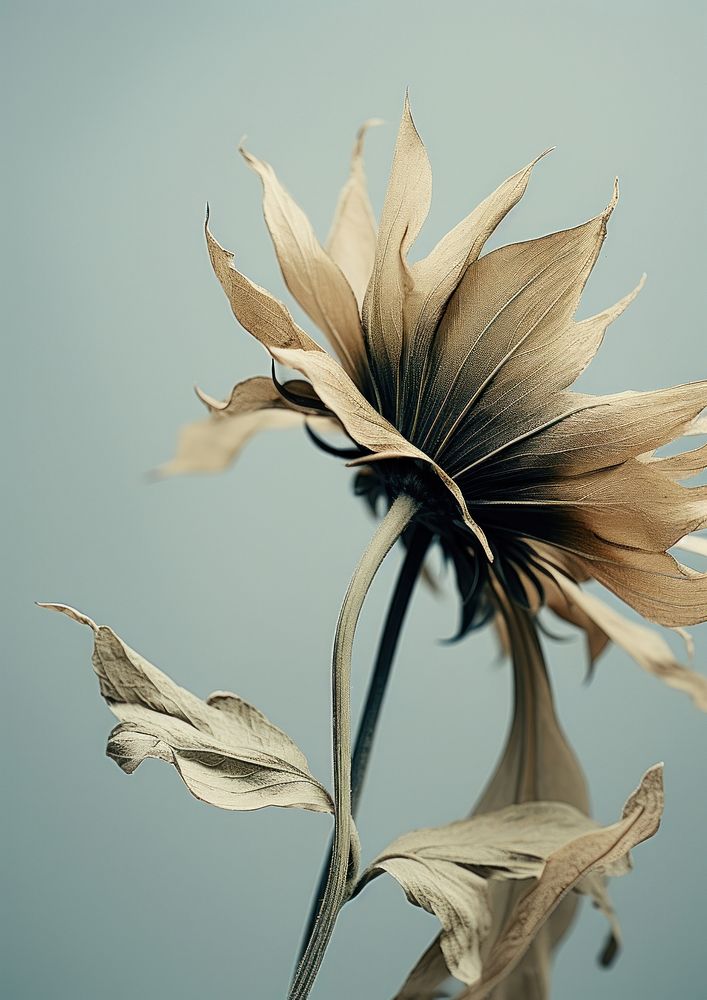 Conceptual art of a close up flower sunflower petal. AI generated Image by rawpixel.