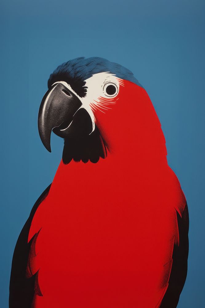 Parrot animal black bird. AI generated Image by rawpixel.