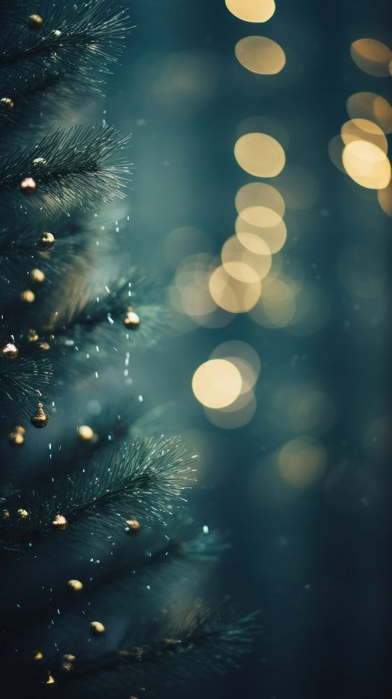 Christmas tree outdoors nature night. AI generated Image by rawpixel.