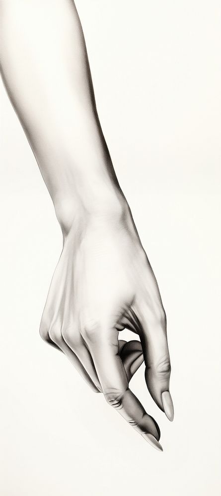  Beautiful woman hand drawing finger adult. AI generated Image by rawpixel.