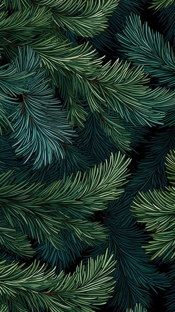 Christmas tree branches christmas plant pine