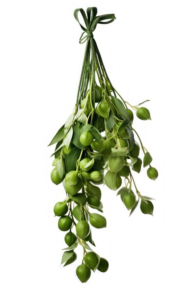 Hanging bunch plant herbs. AI generated Image by rawpixel.