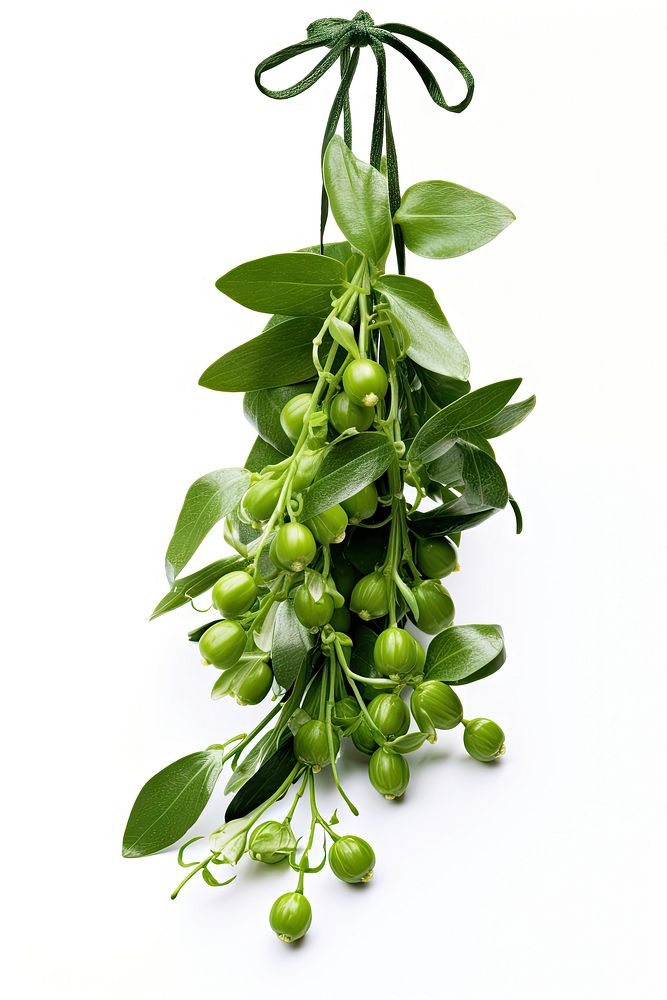 Hanging bunch plant leaf. AI generated Image by rawpixel.