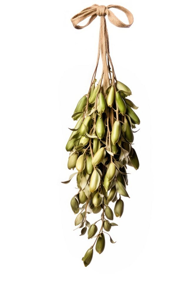 Hanging bunch plant food. AI generated Image by rawpixel.