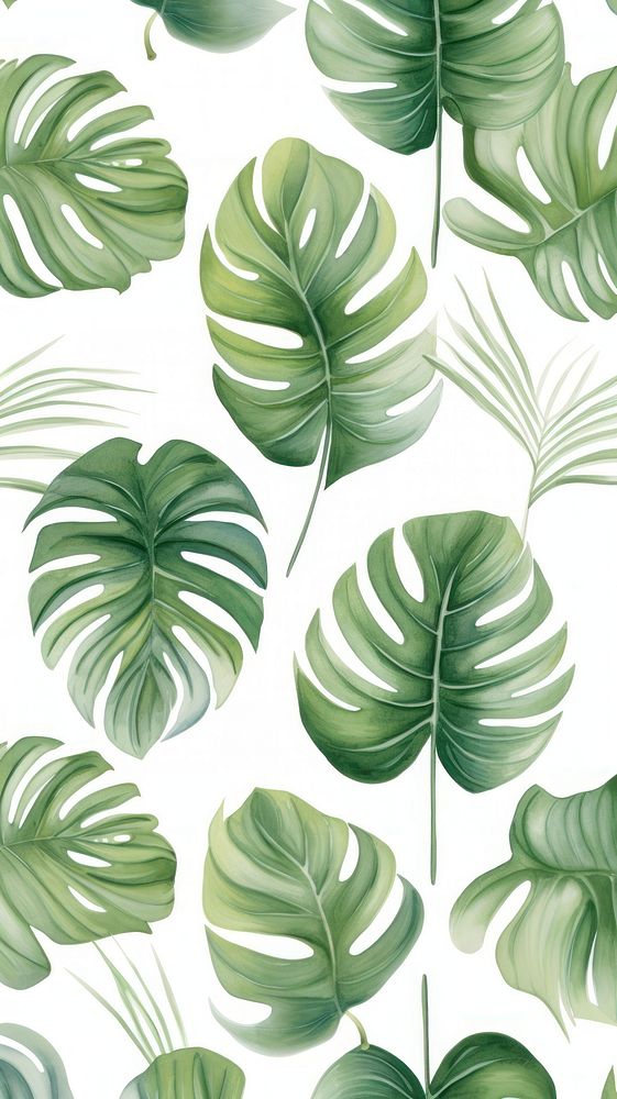 Philodendron backgrounds pattern plant. 