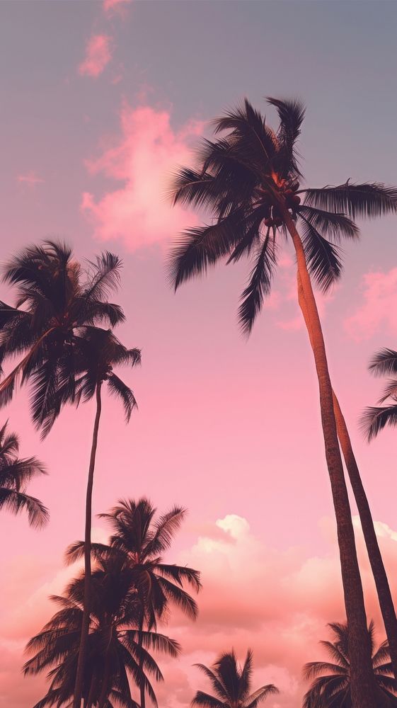 Pink sky tree outdoors nature. AI generated Image by rawpixel.