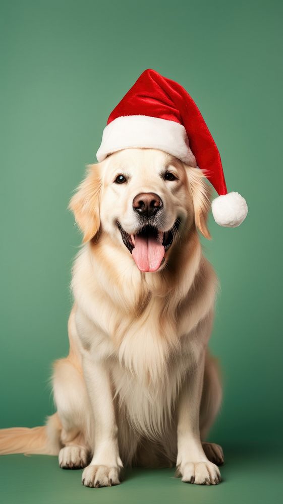 Dog retriever christmas mammal. AI generated Image by rawpixel.