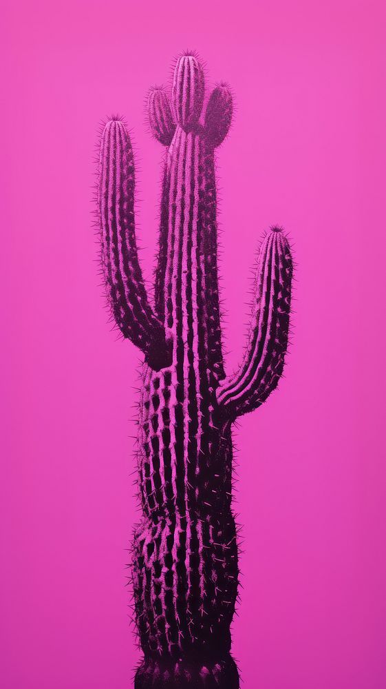 Cactus purple magenta plant. AI generated Image by rawpixel.