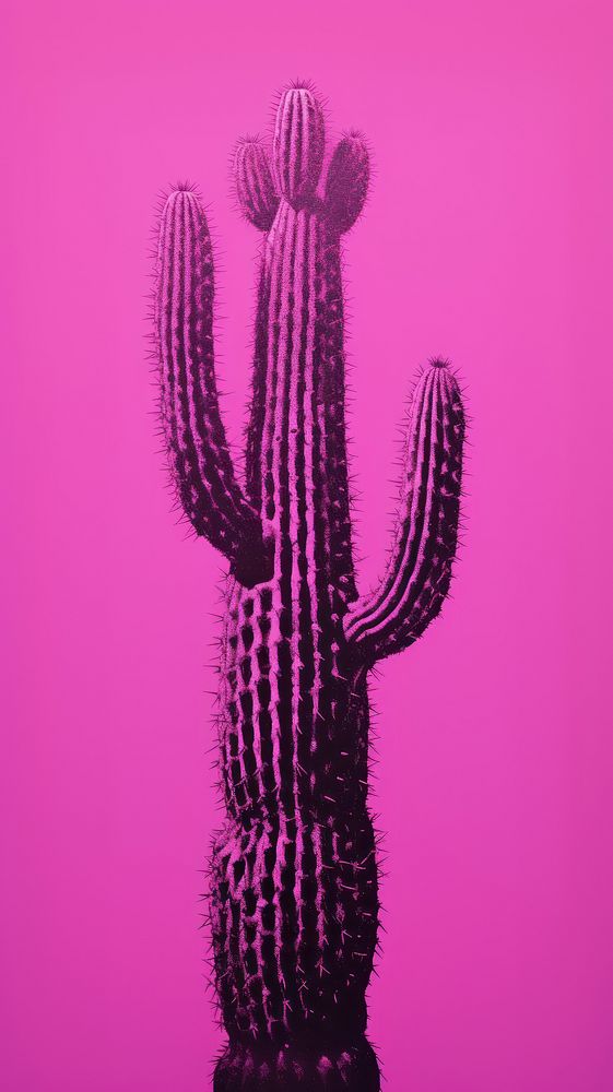 Cactus purple magenta plant. AI | Premium Photo Illustration - rawpixel