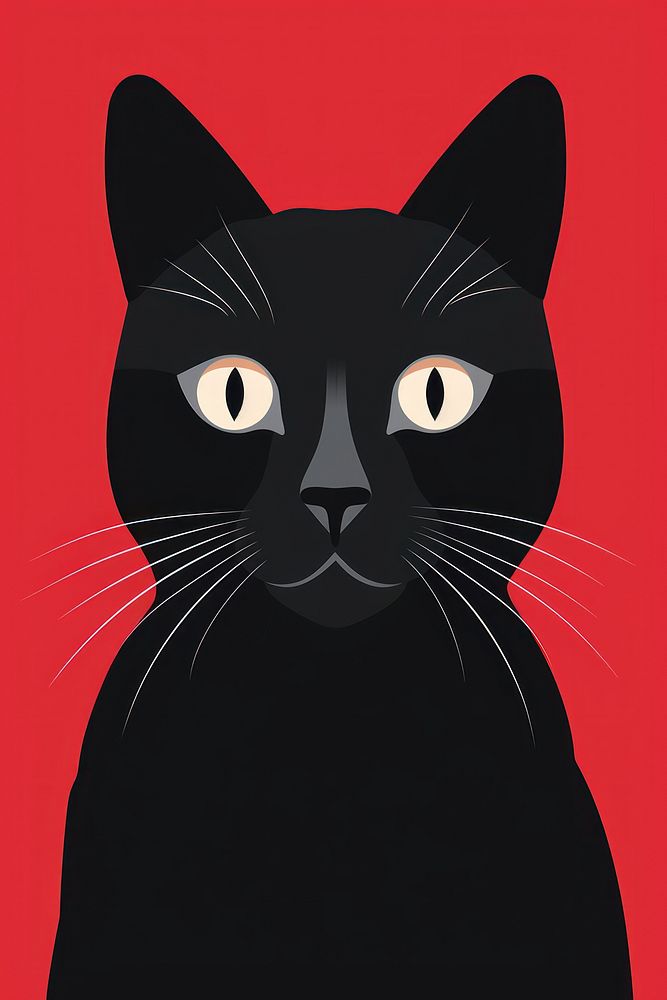 A black cat portrait mammal animal. 