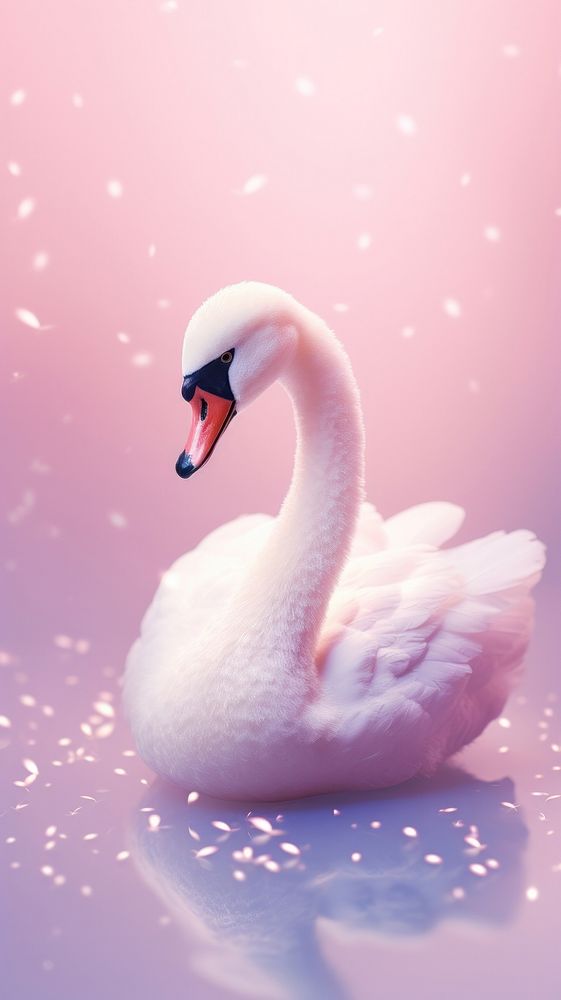 Cute baby swan animal bird reflection. AI generated Image by rawpixel.