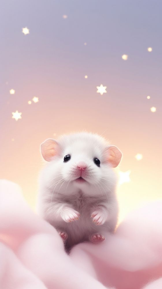 Cute hamster animal rat rodent. 
