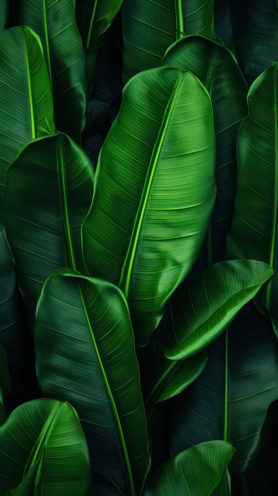A flatlay banana leaves background backgrounds outdoors nature. AI generated Image by rawpixel.