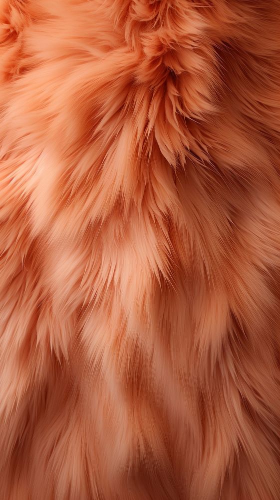 A fur background backgrounds softness textured. AI generated Image by rawpixel.