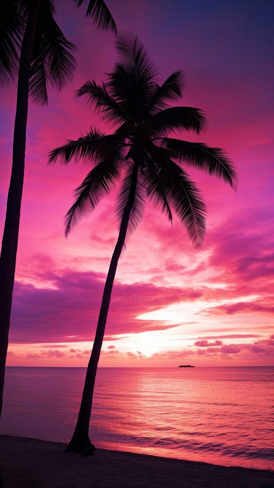 Sunrise beach sky silhouette. 