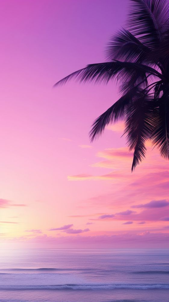 Sunrise beach sky silhouette. 