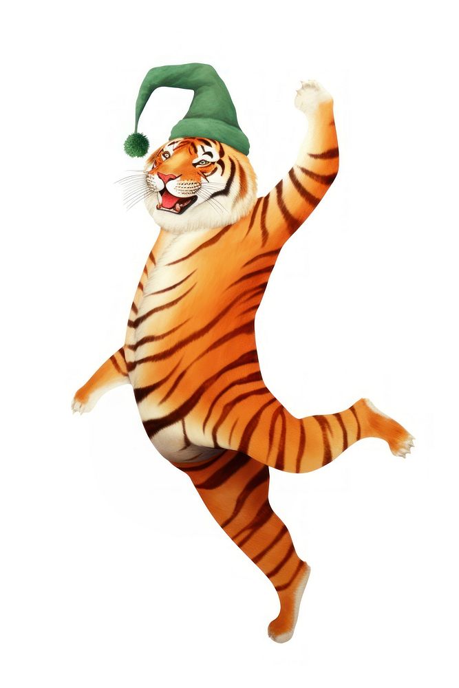 Tiger dancing animal mammal white background. AI generated Image by rawpixel.