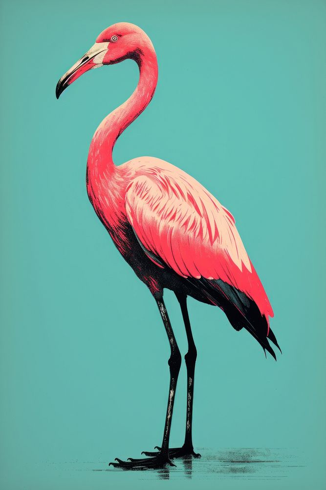Flamingo animal bird beak. AI generated Image by rawpixel.