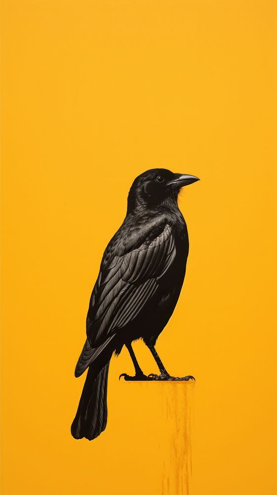 A crow blackbird animal wildlife. AI generated Image by rawpixel.