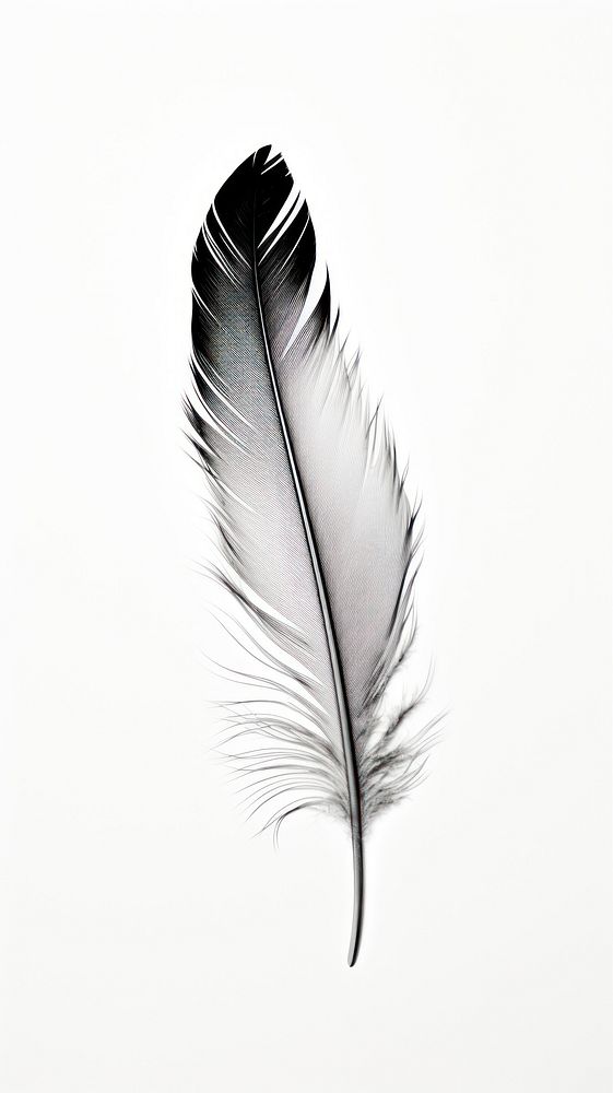 A Simple feather pattern lightweight monochrome. AI generated Image by rawpixel.