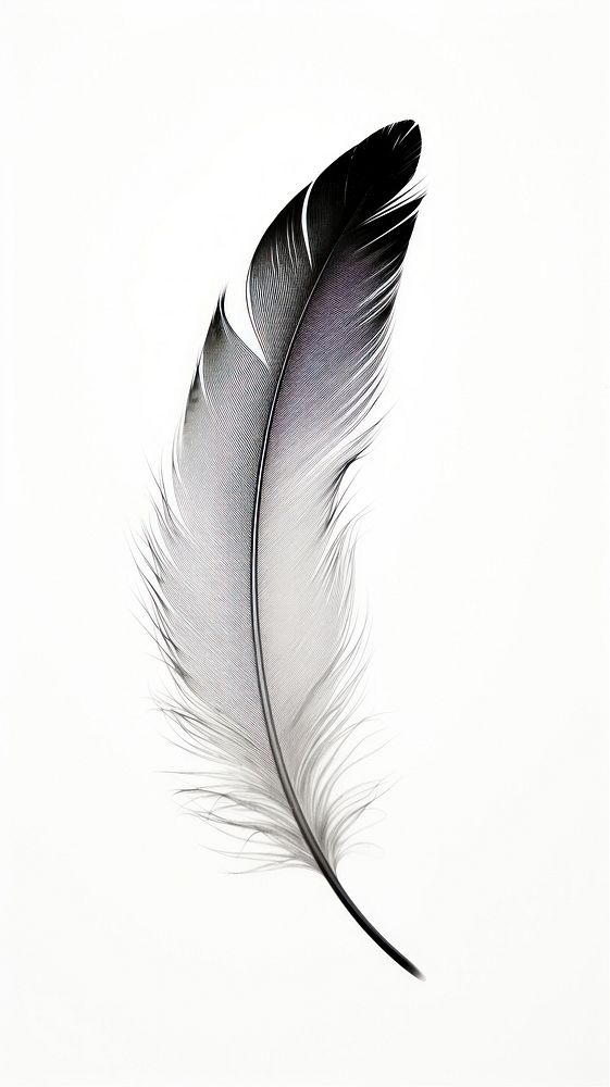 A Simple feather pattern lightweight accessories. AI generated Image by rawpixel.