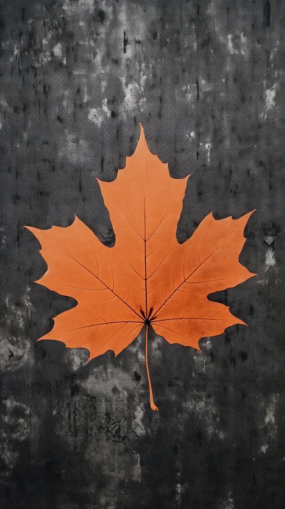 A Simple Maple leaf maple textured pattern. AI generated Image by rawpixel.