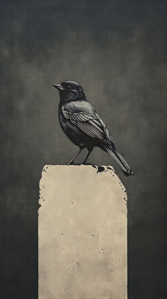 A sparrow animal black bird. AI generated Image by rawpixel.
