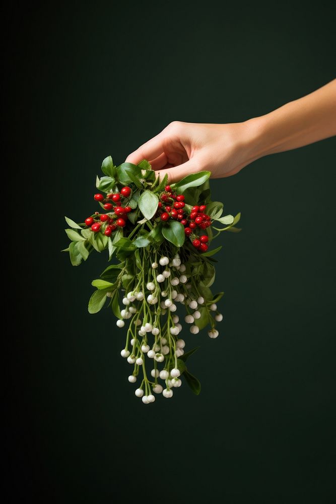 Woman hand holding homemade Christmas greens miniature Christmas Mistletoe christmas flower plant. AI generated Image by…