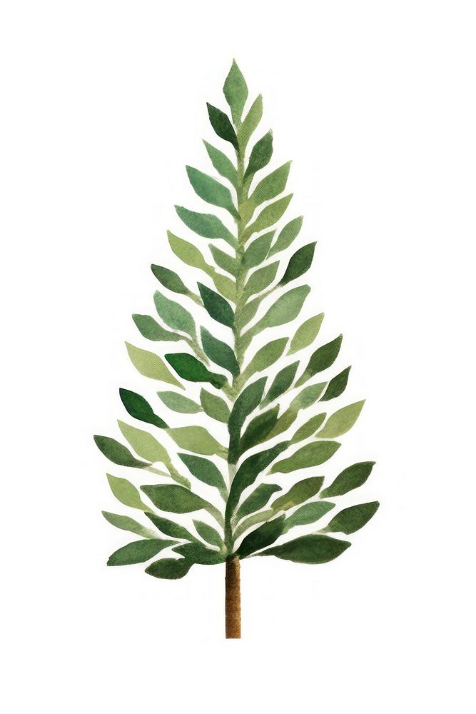 Christmas trees plant leaf branch. AI generated Image by rawpixel.