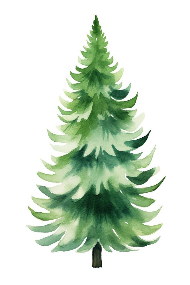 Christmas trees christmas plant pine. AI generated Image by rawpixel.
