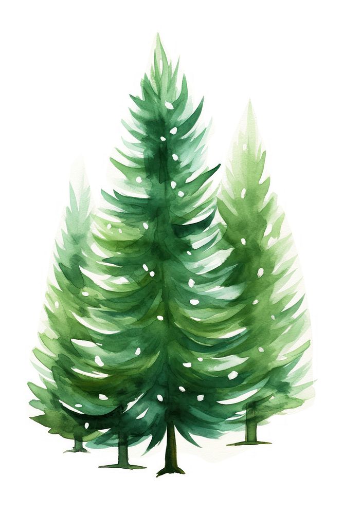 Christmas trees christmas plant white background. AI generated Image by rawpixel.