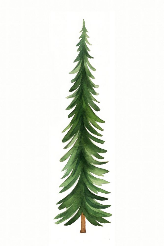 Christmas trees plant pine leaf. AI generated Image by rawpixel.