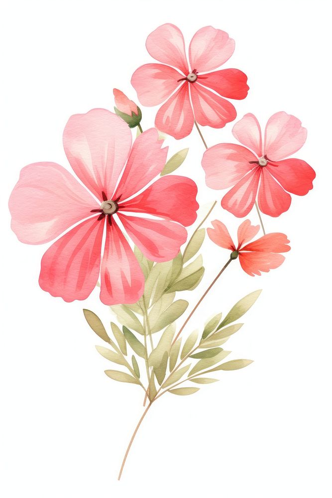 Red flower, plants watercolor illustration