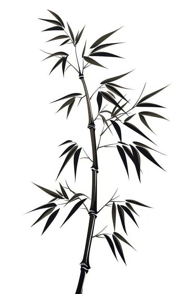 Bamboo internode plant leaf white background. AI generated Image by rawpixel.
