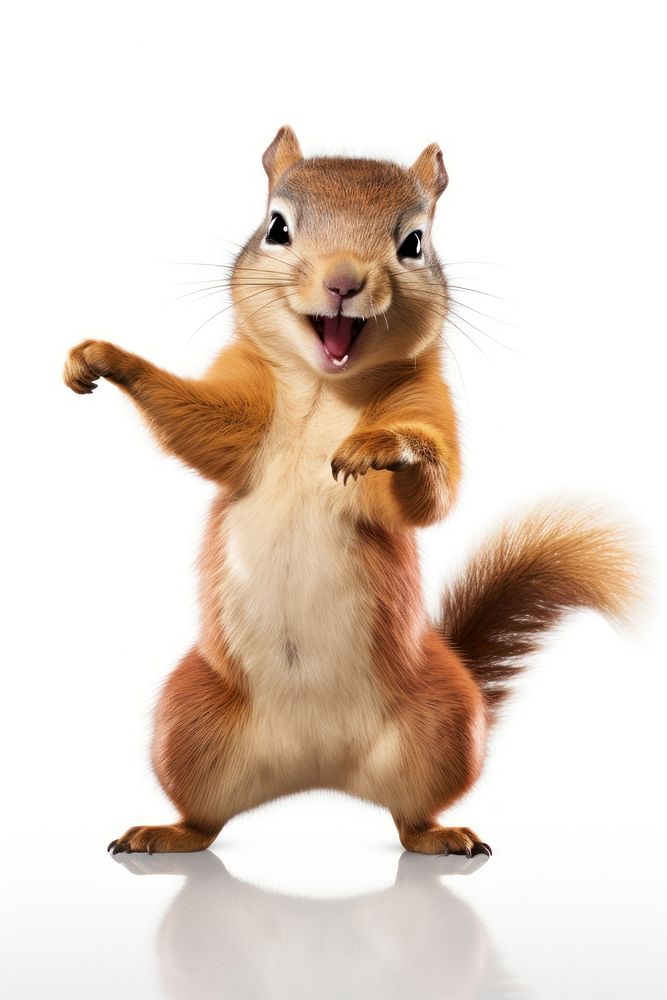 Happy smiling dancing squrirel squirrel mammal animal. AI generated Image by rawpixel.