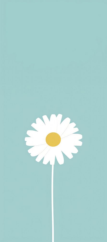 White daisy flower pattern plant inflorescence. AI generated Image by rawpixel.