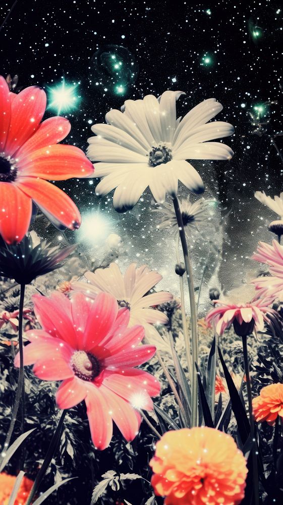 Outdoors flower nature petal. AI generated Image by rawpixel.