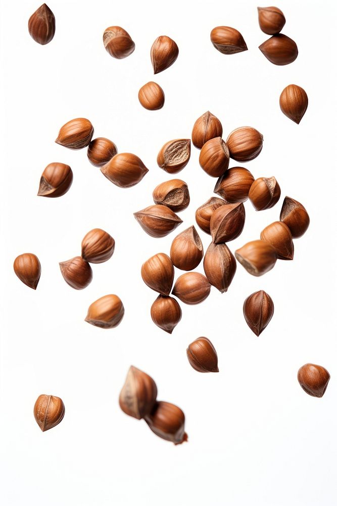 Falling hazelnuts backgrounds plant food. AI generated Image by rawpixel.
