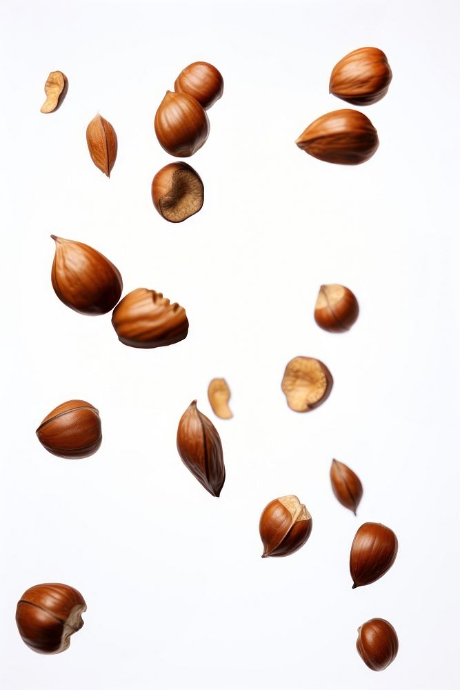 Falling hazelnuts food seed white background. AI generated Image by rawpixel.