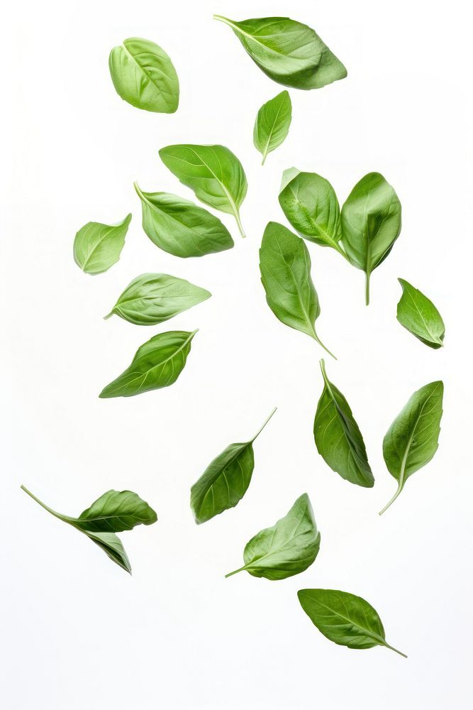 Flying basil leaves vegetable plant green. AI generated Image by rawpixel.