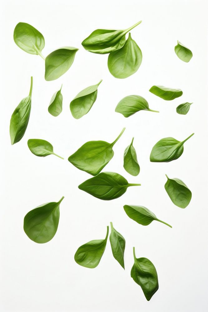 Flying basil leaves plant green herbs. AI generated Image by rawpixel.
