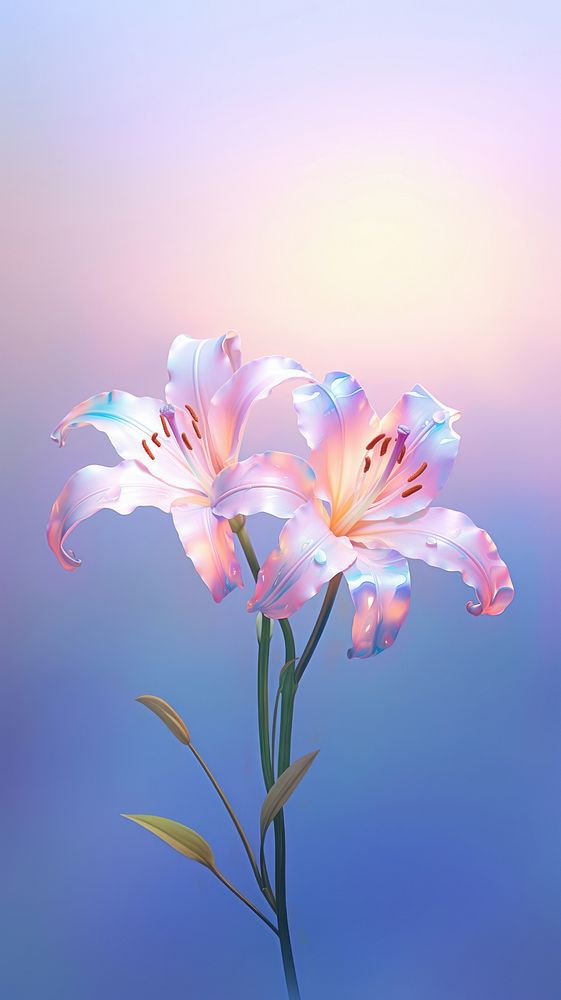 Lily flower blossom petal. Premium Photo Illustration rawpixel
